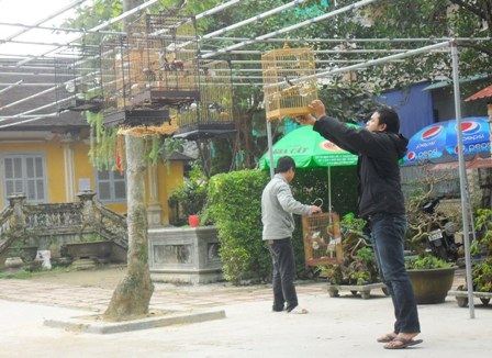 Khách đến quán thường đem theo chim của mình để góp vui