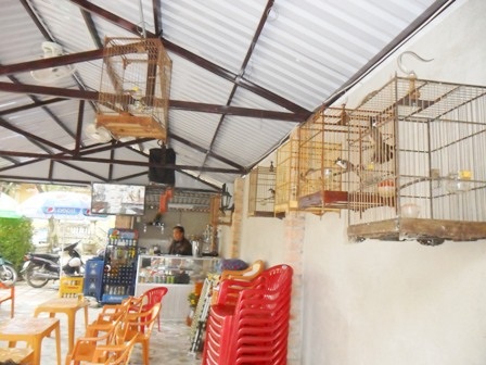 Những quán cà phê kiểu này thường không quá coi trọng vào sự bài trí cầu kỳ, kiểu cách