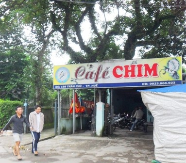 Một trong rất nhiều quán cà phê chim ở Huế