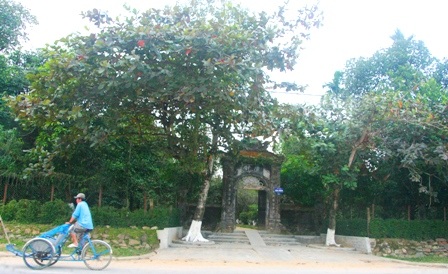 Nhà vườn An Hiên với hàng chè tàu xung quanh hòa cùng màu xanh của cây lá Huế