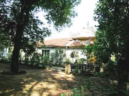 Đầu năm đi lễ chùa, nét đẹp của người dân xứ Huế - 2 Chùa Báo Quốc