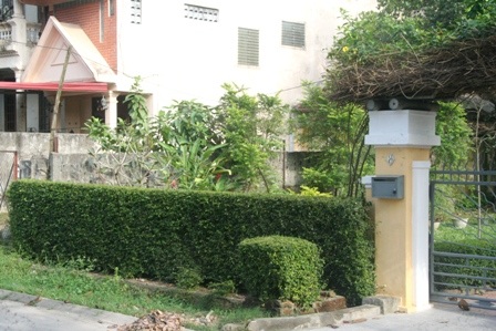 Trụ làm bằng chè tàu để tôn dáng trước cửa nhà