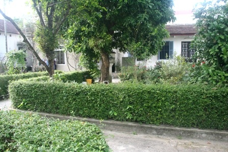 Lối vào nhà bằng chè tàu