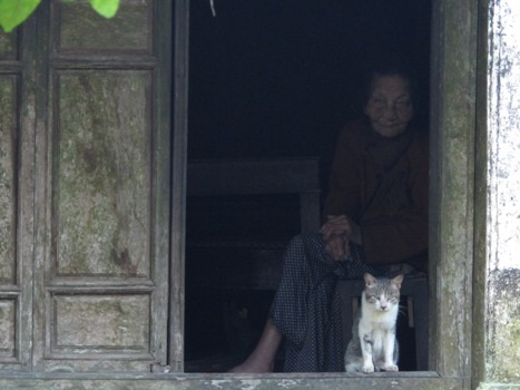Hàng ngày mệ Hén ngồi buồn thiu cùng chú mèo nhìn ra ngoài sân.