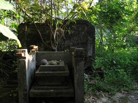 Miếu cây thị nhìn từ cổng vào.