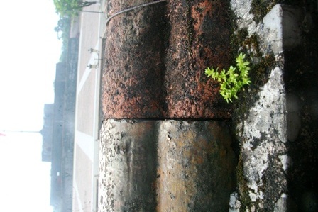 Gạch ốp lan can tại Ngọ Môn