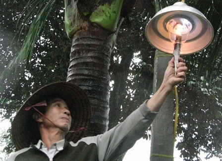 Cả đoạn đường bừng sáng nhờ... phân heo! - 2 Trời bắt đầu nhập nhoạng tối là 25 hộ dân ở đây thắp đèn đường.