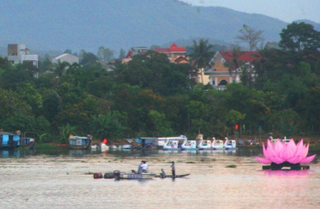 Nhiều cây cổ thụ gãy đổ la liệt sau trận gió lốc, mưa đá - 13 1 đóa sen giữa sông Hương bị chìm, thuyền cứu hộ đã ra tận nơi để xem xét