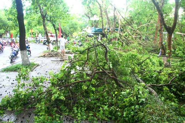 Nhiều cây cổ thụ gãy đổ la liệt sau trận gió lốc, mưa đá - 10 Cành cây vương vãi khắp nơi trên vỉa hè