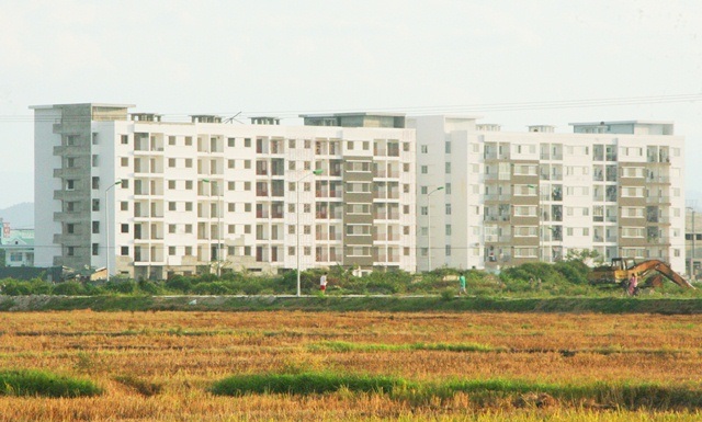 Kiến ba khoang tiếp tục tấn công chung cư cao tầng ở Huế - 2 Vết thương do kiến ba khoang gây ra ở trên tay anh Trần Văn Hòe