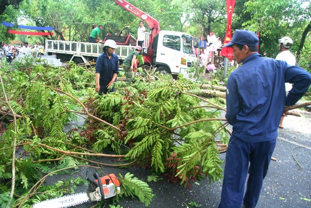 Hai người bị cây đè gãy cổ - 3 Cây gãy đã làm nhiều xe nước mía bên vỉa hè đường Nguyễn Huệ hư hỏng nặng