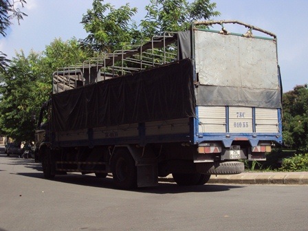 Đưa em đi thi đại học, chị bị xe tải cán tử vong - 2 Chiếc xe tải gây ra tai nạn thương tâm