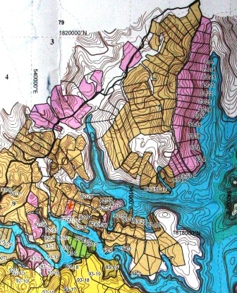 Tạm ứng 3 tỷ đền bù cho dân có rừng bị ngập nước “oan”