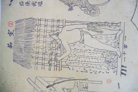 Cuốn sách cổ quý giá về “Kỹ thuật của người An Nam” - 17 Trết vách phên nhà bằng bùn và rạ