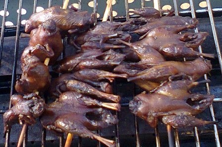 Vịt con chết “đội lốt” chim sẻ quay? - 3 Chim sẻ có hình dáng giống vịt con chết, đặc biệt phần đuôi rất giống. Ăn vào có mùi của vịt.