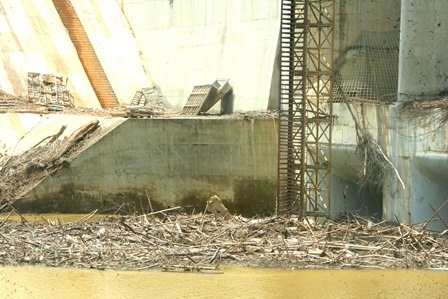 Các cửa xả bị rác chặn dòng