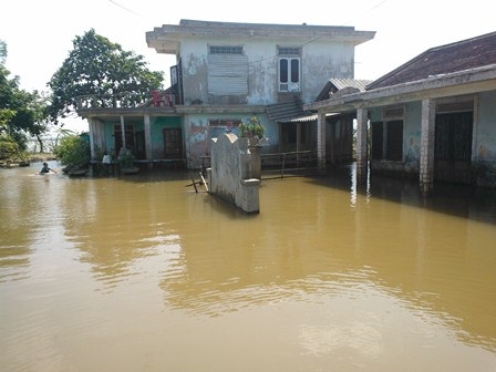 Nhiều địa phương mong lũ "tới tầm" để... diệt chuột - 7 Các nhà bị ngập lũ ở Hương Vinh, Hương Trà