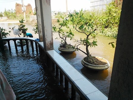 Nhiều địa phương mong lũ "tới tầm" để... diệt chuột - 10 Nước trong nhà, ngoài nhà