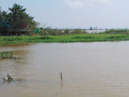 Nhiều địa phương mong lũ "tới tầm" để... diệt chuột - 4 PV Dân trí tại Huế đang phỏng vấn anh Nguyễn Văn Hùng về nạn chuột và sát tinh của chuột: Lũ lụt!