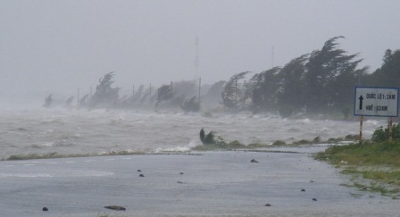 Nhiều tuyến đê ở huyện Phú Lộc bị xâm lấn vào dữ dội