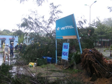 Cây cổ thụ bật gốc do bão, nằm chắn ngang QL 1A qua thị trấn Lăng Cô, huyện Phú Lộc.