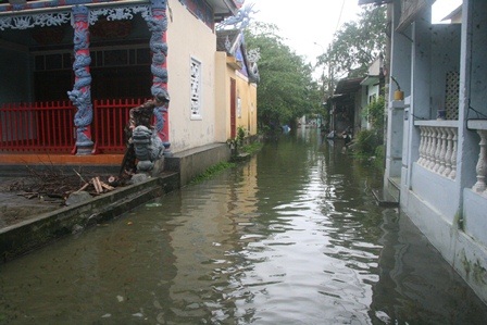 Cho phép tàu thuyền trên địa bàn TPHCM hoạt động trở lại - 4 (Ảnh: Đại Dương)