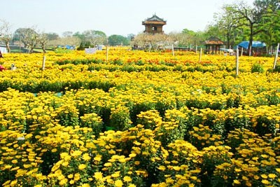 Chợ hoa xuân tại Nghinh Lương Đình những ngày trước tết