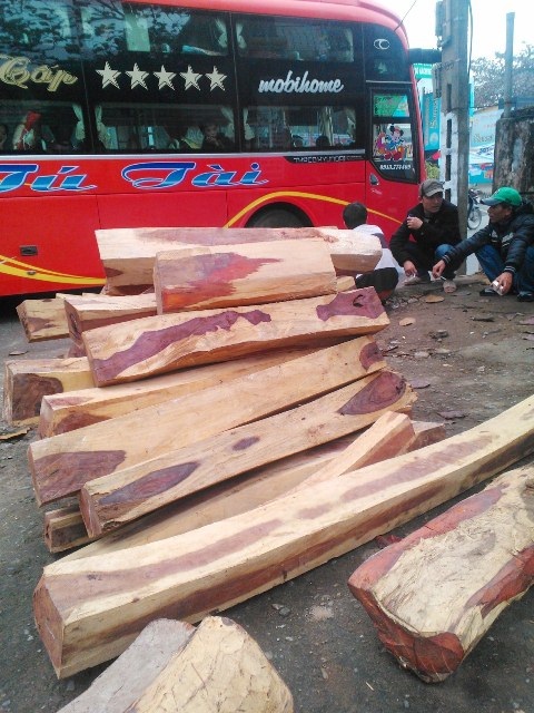 Số gỗ trắc lớn bắt được trên xe khách