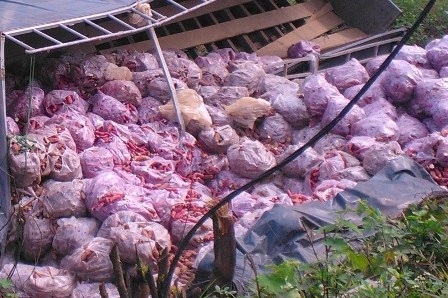 Xe chở khoai lang lao xuống vực ở đèo Mũi Né