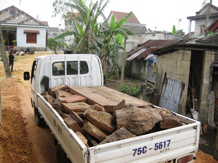 Bắt giữ nhiều gỗ quý tàng trữ trong nhà dân - 2 Nhiều chuyến xe đưa đến vận chuyển số gỗ quý này về trụ sở công an huyện Phú Lộc