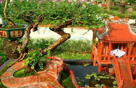 Tiểu cảnh Sơn liễu