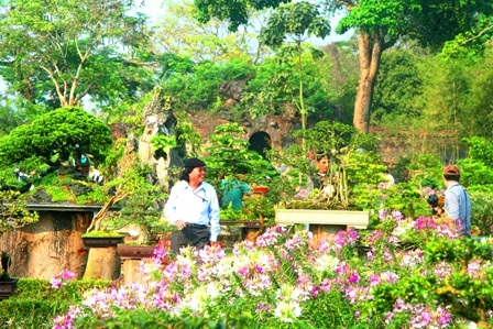 Tiểu cảnh Sơn liễu