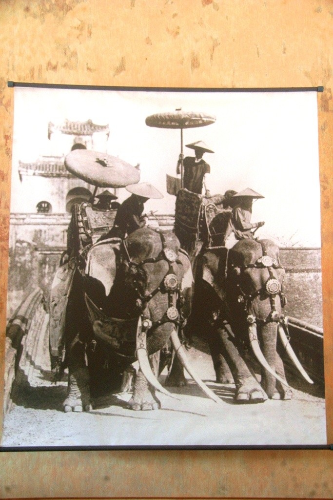 Quản tượng thúc voi quỳ trước cửa thành