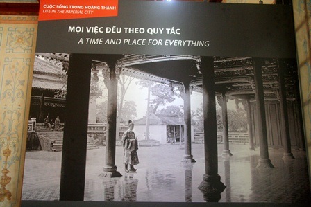 Quản tượng thúc voi quỳ trước cửa thành