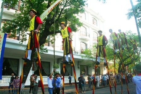 Chiều cao các cây cà kheo rất ấn tượng