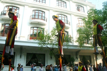 Chiều cao các cây cà kheo rất ấn tượng