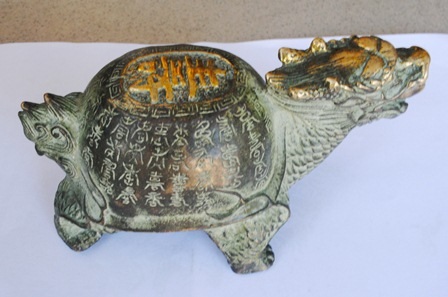 Rùa đồng cổ nghi quý hiếm