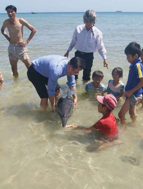 Người dân địa phương rất quan tâm chăm sóc cá heo.