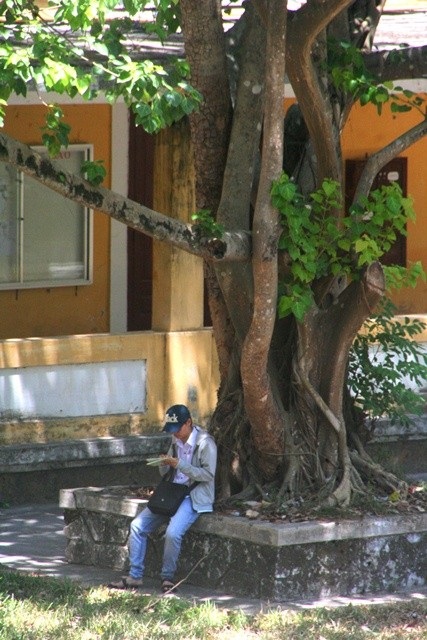 Thí sinh vừa hoàn thành bài thi Vật lý - 4 Ngồi dưới gốc cây râm mát