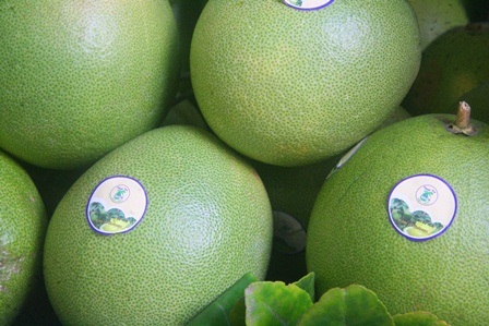 Độc đáo lễ hội trái thanh trà Huế - 5 Cận cảnh trái thanh trà