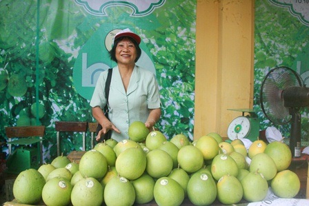 Độc đáo lễ hội trái thanh trà Huế - 4 Một tiểu thương bên sạp trái thanh trà căng tròn của mình