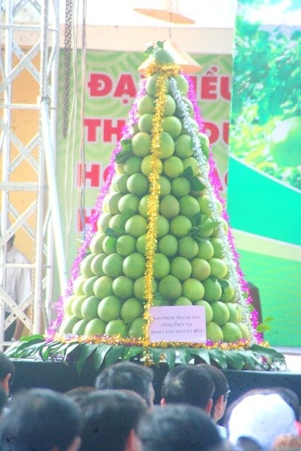 Độc đáo lễ hội trái thanh trà Huế - 2 Tháp thanh trà