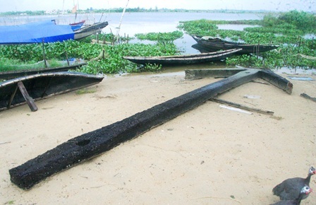 Những phán đoán ban đầu về mỏ neo gỗ khổng lồ dưới đáy biển - 1 Chiếc mỏ neo dài 8,1 mét, dài hơn 2 chiếc mỏ neo gỗ thế kỷ 13,15 của ông Quách Văn Địch ở Hà Nội