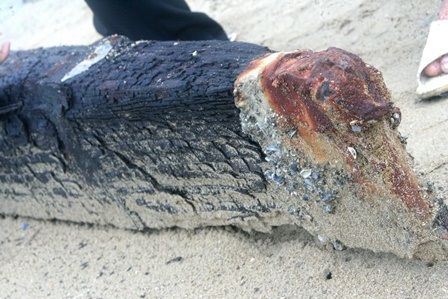 Những phán đoán ban đầu về mỏ neo gỗ khổng lồ dưới đáy biển - 4 Đầu ngạnh bọc sắt