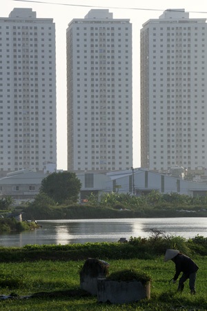 Nghĩa trang này với hàng nghìn ngôi mộ nằm lọt thỏm trong một khu dân cư đông đúc.