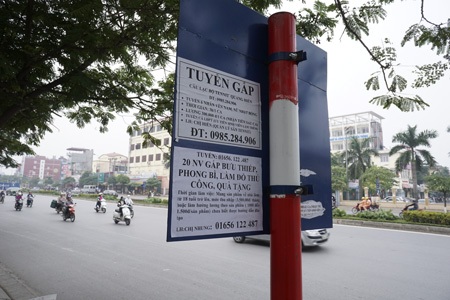 Biển báo giao thông biến thành biển "tuyển gấp" - 10 Gần như toàn bộ biển báo giao thông