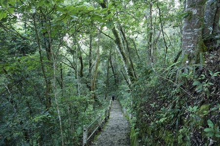 Trở về nơi thành lập Đội Việt Nam tuyên truyền Giải phóng quân