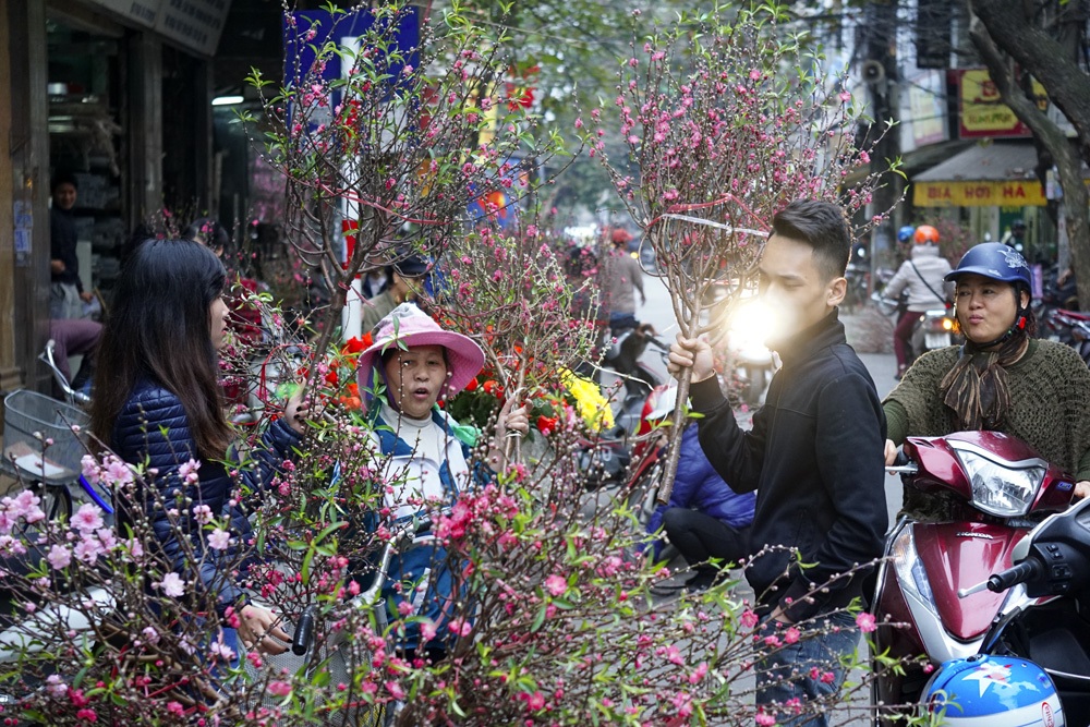 Các cành đào cỡ nhỏ, vừa được bán từ 50 - 100 nghìn.