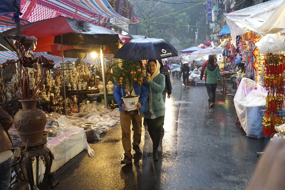 Chợ hoa trong mưa - 10 Những chú dê vàng mặc áo mưa tạm thời khi chưa có khách.
