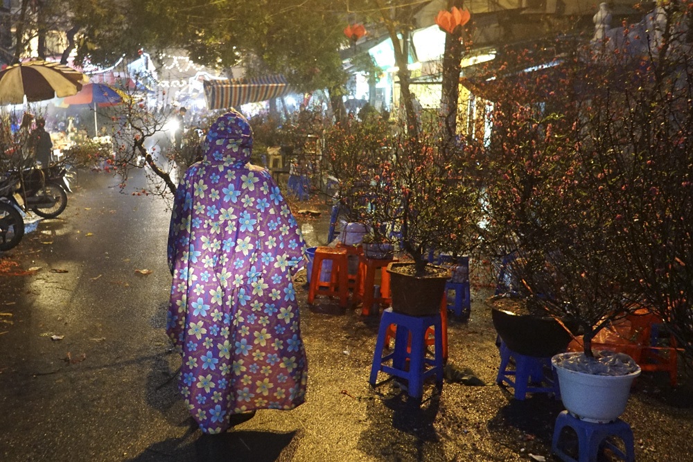 Chợ hoa trong mưa - 11 Một người mặc áo mưa với những bông hoa có màu sắc khá tương phản với sắc hoa đào.